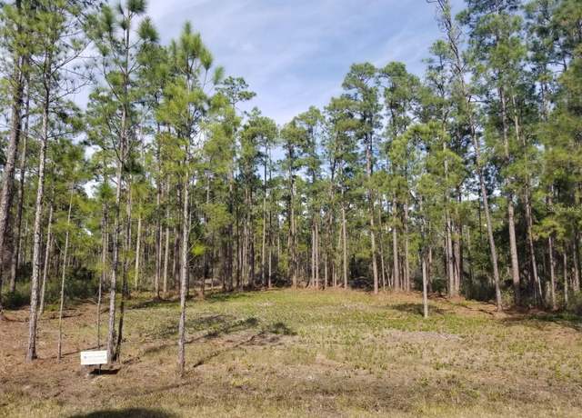 Property at Alba Dr, Indian Lake Estates, FL 33855
