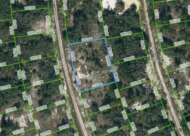 Property at 223 Blue Sky Dr, Lake Placid, FL 33852