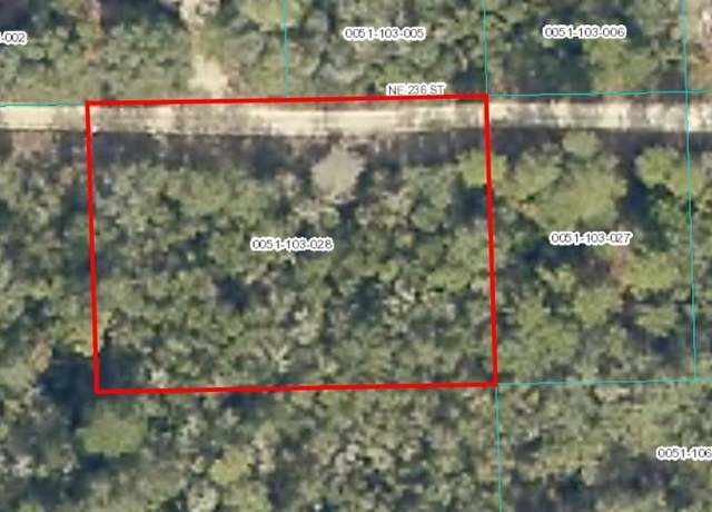Property at TBD NE 236 St, Fort Mc Coy, FL 32134