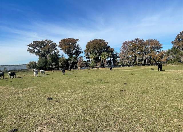 Property at Georgia Ave, Astatula, FL 34705