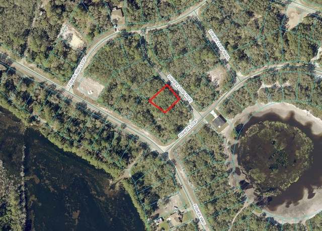 Property at 00 Fisher Loop Trce, Ocklawaha, FL 32179