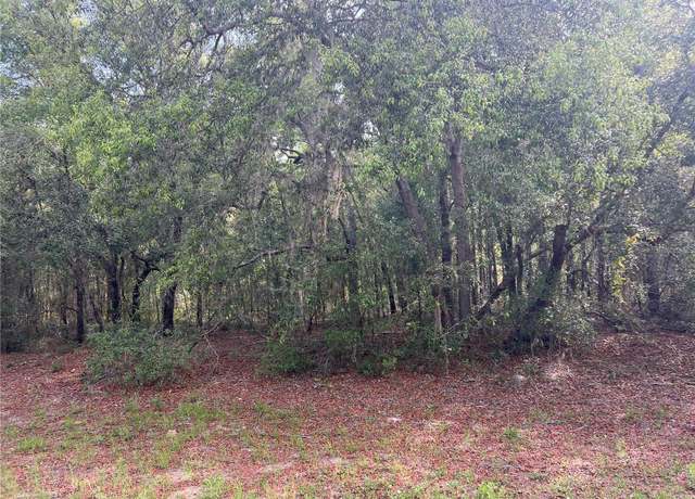 Property at 8381 N Quarry Dr, Citrus Springs, FL 34434