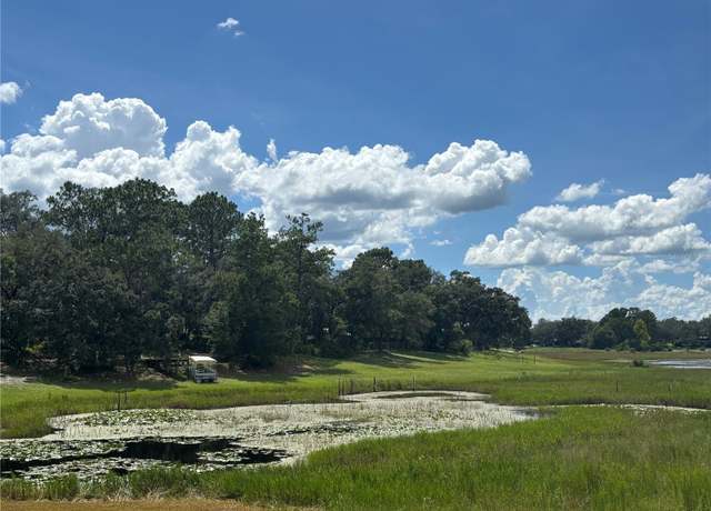 Property at 0 SE 180th Ave, Ocklawaha, FL 32179