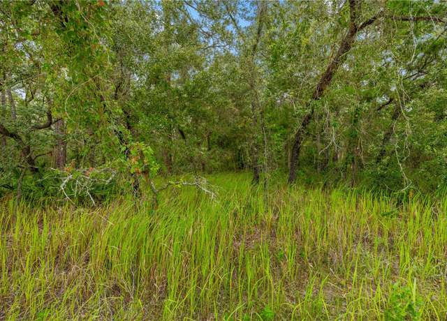Property at 0000 Maybird Ave, Weeki Wachee, FL 34613