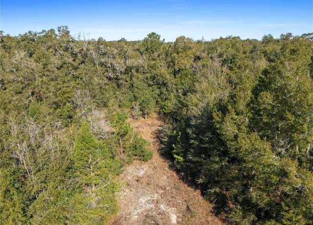 Property at 0 NW 29th Ter, Reddick, FL 32686
