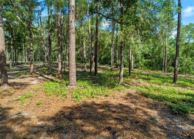 Property at 29901 State Road 44, Eustis, FL 32736