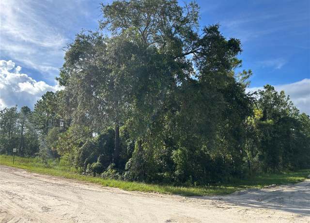 Property at TBD NE 134th Ct, Williston, FL 32696