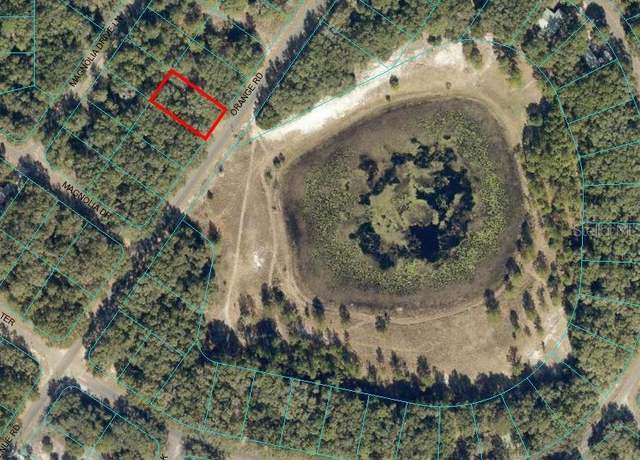 Property at SE 141st Ave, Ocklawaha, FL 32179