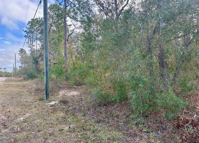 Property at 13320 Potomac Ave, Brooksville, FL 34614