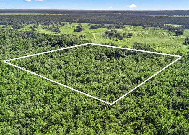 Property at NW 150th Ave Rd, Micanopy, FL 32667
