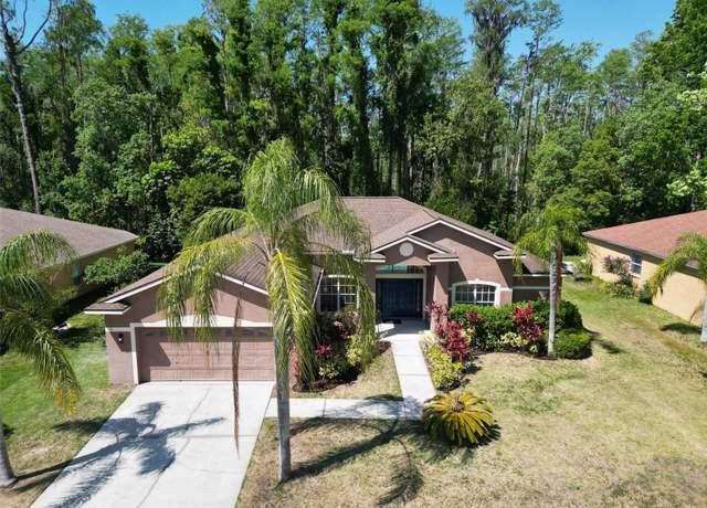 Property at 1135 Wyndham Lakes Dr, Odessa, FL 33556, 4 beds, 2 baths