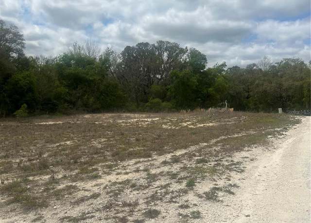 Property at Cleft Rock St, Webster, FL 33597