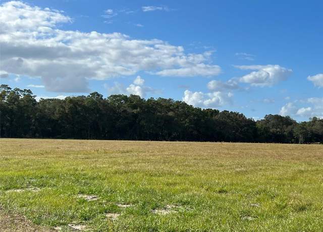 Property at TBD SE 74th Lane Rd, Ocklawaha, FL 32179
