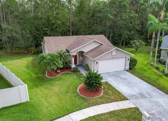 homes for sale in nine eagles odessa fl
