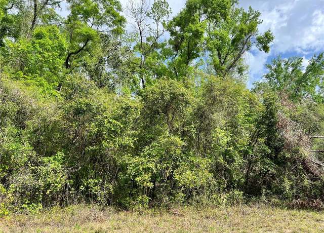 Property at 0 NE 349, Old Town, FL 32680