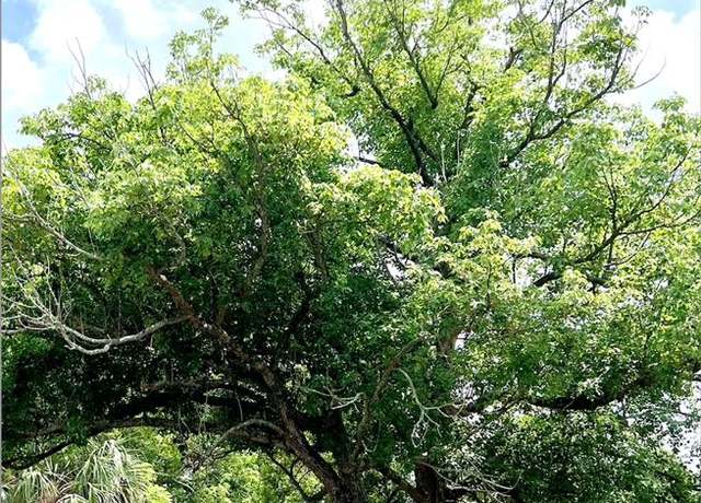 Property at W Vining St, Winter Garden, FL 34787