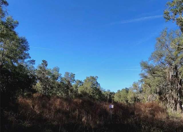 Property at 153 Gordon Chapel Rd, Hawthorne, FL 32640