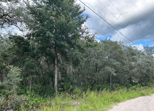 Property at SW 152nd Pl, Dunnellon, FL 34433