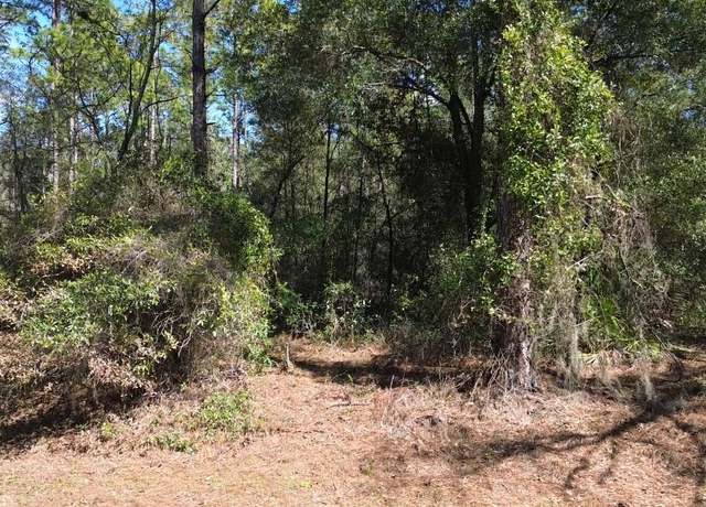 Property at SW 129 Ter, Ocala, FL 34481
