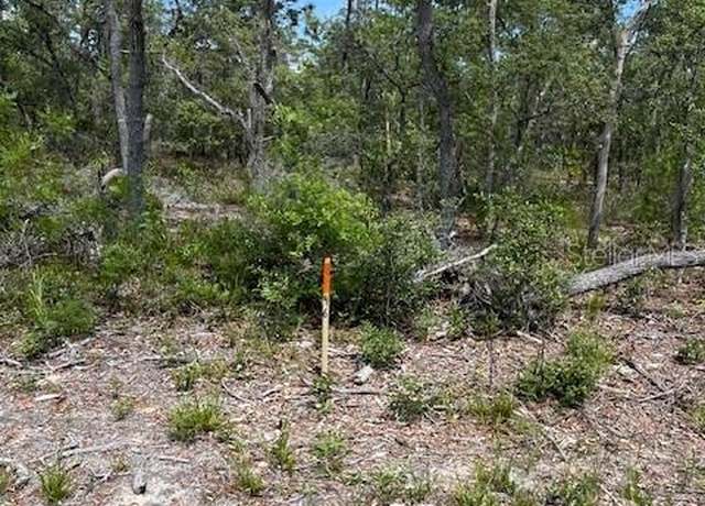 Property at TBD SW 57th Ave Unit 46 & 47, Interlachen, FL 32148