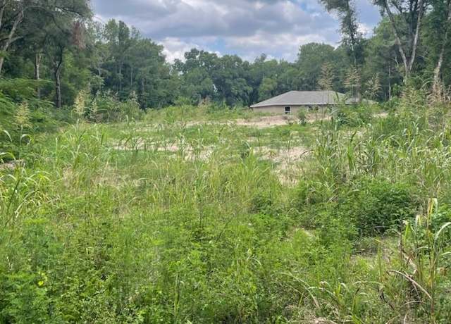 Property at TBD SE 131st Pl, Belleview, FL 34420