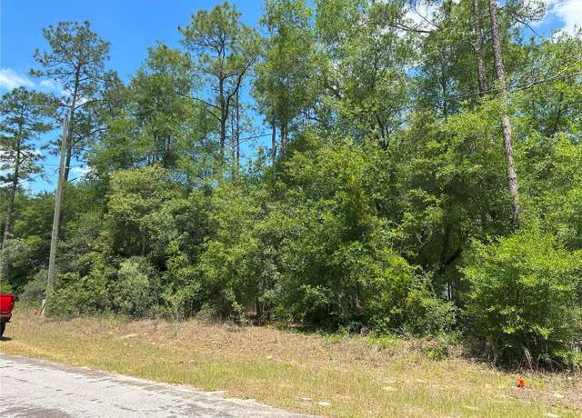 Property at 1571 W Alexander Dr, Citrus Springs, FL 34434