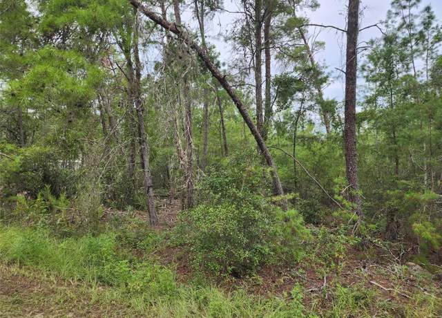 Property at Fischer Ct, Ocala, FL 34472