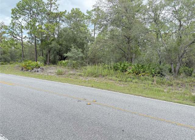 Property at 0 Fulton Ave, Weeki Wachee, FL 34613