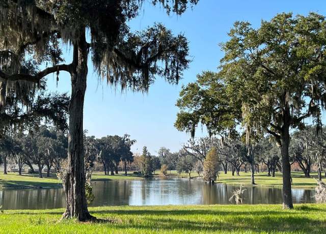 Property at Tbd SE 157th Street Rd, Summerfield, FL 34491