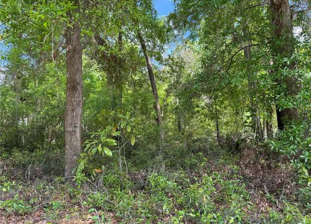 Property at TBD SW Clearwater Ct, Dunnellon, FL 34431