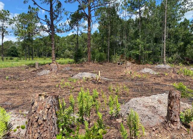 Property at 2101 W Frostproof Rd, Frostproof, FL 33843