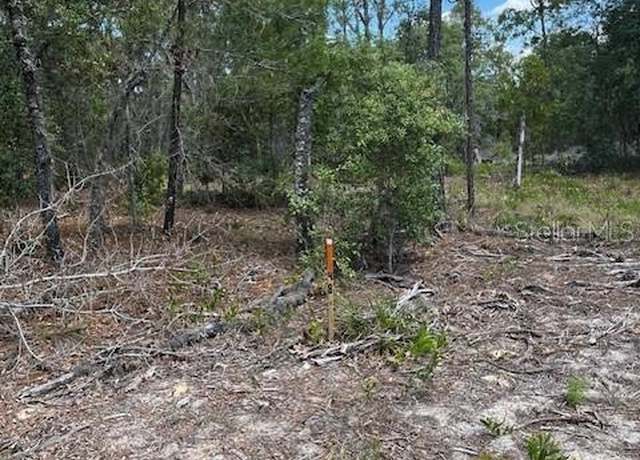 Property at TBD SW 57th Ave Unit 48 & 49, Interlachen, FL 32148