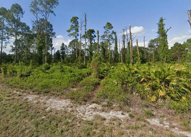 Property at 438 Wickham Ave S, Lehigh Acres, FL 33974