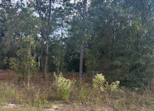 Property at TBD Locust Loop Place Lot 8, Ocala, FL 34472