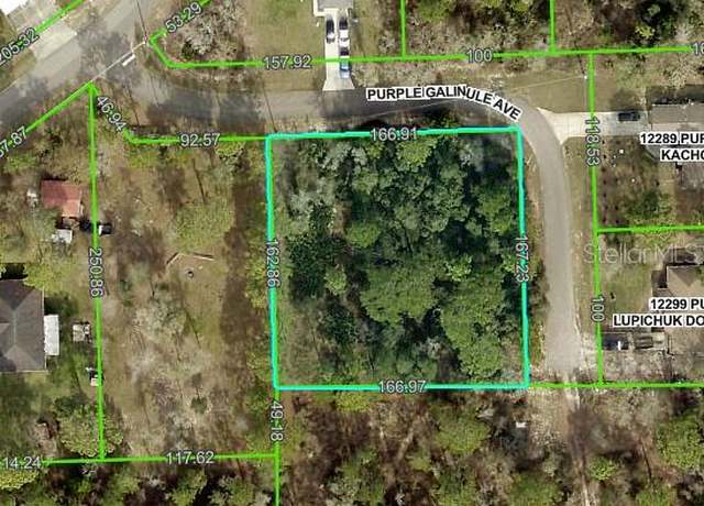 Property at 0 Purple Galinule Ave, Brooksville, FL 34614