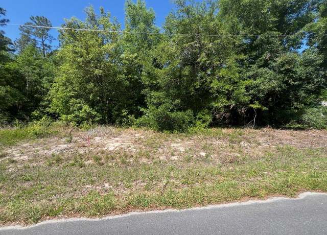 Property at TBD Locust Course Radial Lot 20, Ocala, FL 34472
