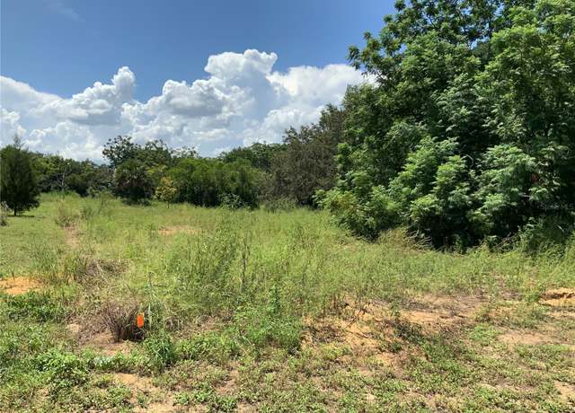 Property at 000 Fruitwood Ave, Eustis, FL 32726