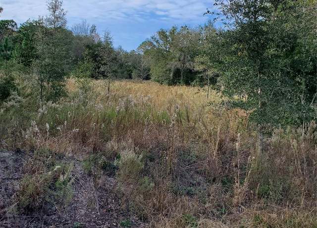 Property at 5027 SW 181st Ct, Dunnellon, FL 34432