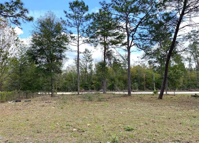 Property at 00 NE 142nd Ct, Williston, FL 32696
