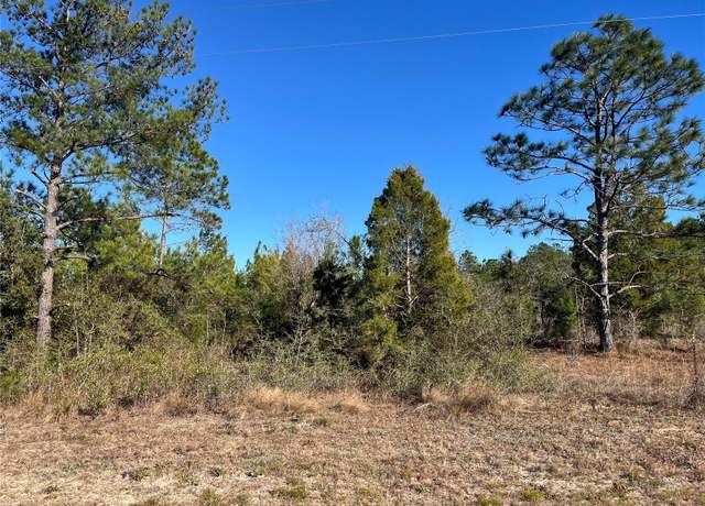 Property at Fairview Rd, Marianna, FL 32448