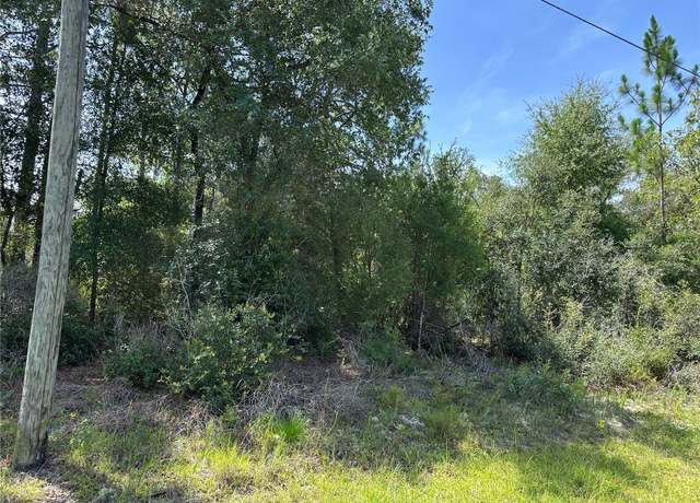 Property at 8547 N Trojan Dr, Citrus Springs, FL 34433