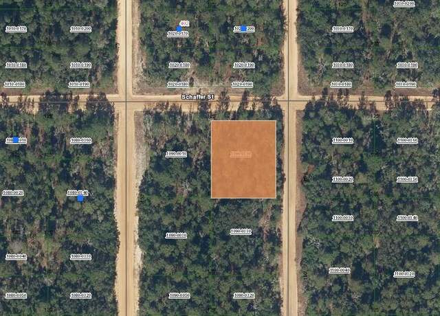 Property at 00 Shappell Ave, Interlachen, FL 32148