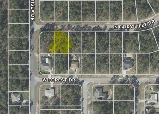 Property at 9317 N Fairy Lilly Dr, Citrus Springs, FL 34433