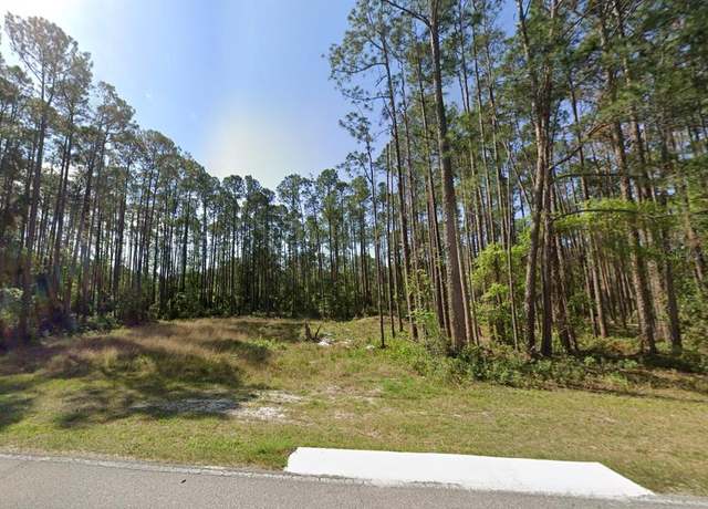 Property at 243 & 245 Georgetown Denver Rd, Georgetown, FL 32139