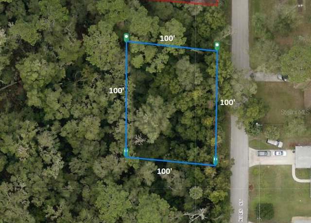 Property at 31633 Niles St, Sorrento, FL 32776