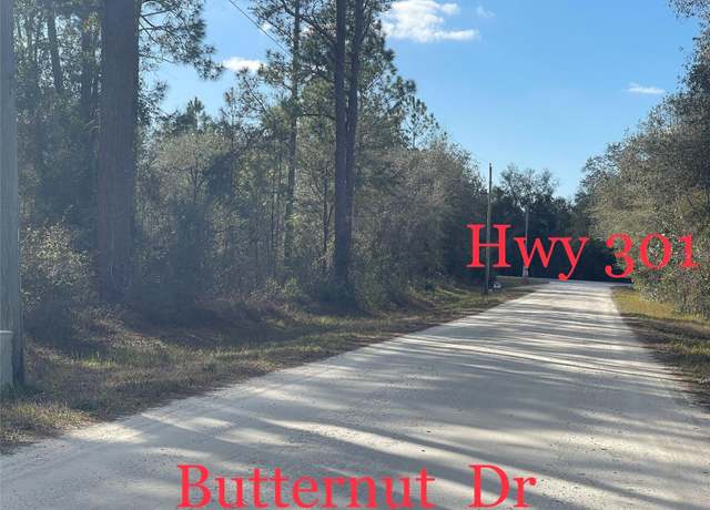 Property at Butternut Dr, Webster, FL 33597