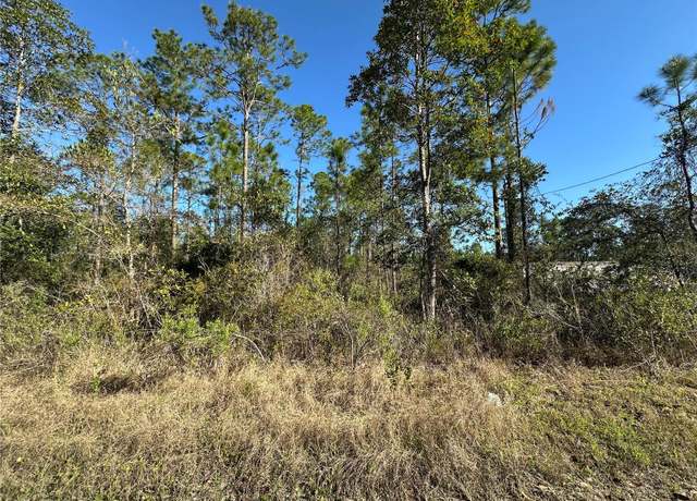 Property at 124 E Alachua St, Palatka, FL 32177