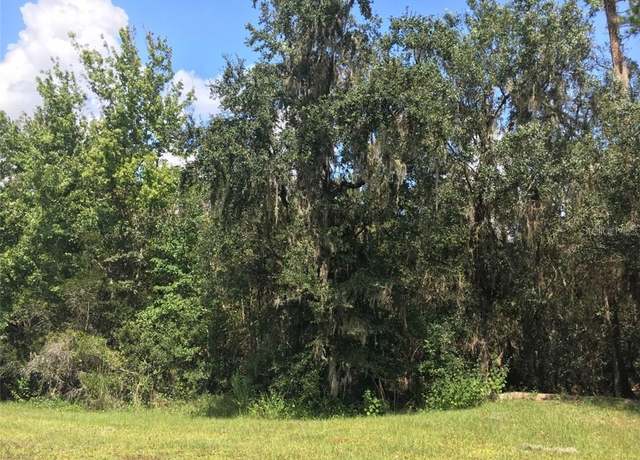 Property at 41025 E 20th Pl, Myakka City, FL 34251