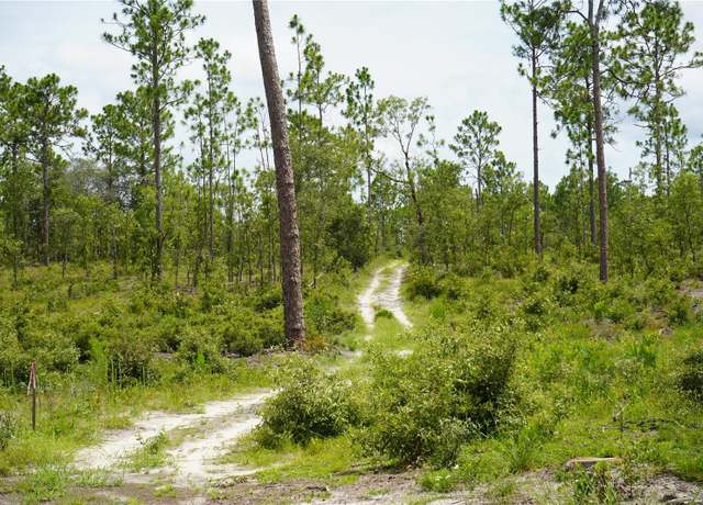 Property at LOT B SE State Road 121, Morriston, FL 32668