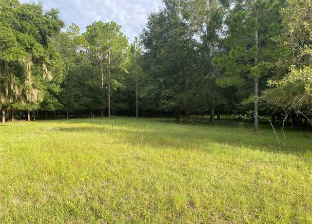 Property at CR 466, Oxford, FL 34484